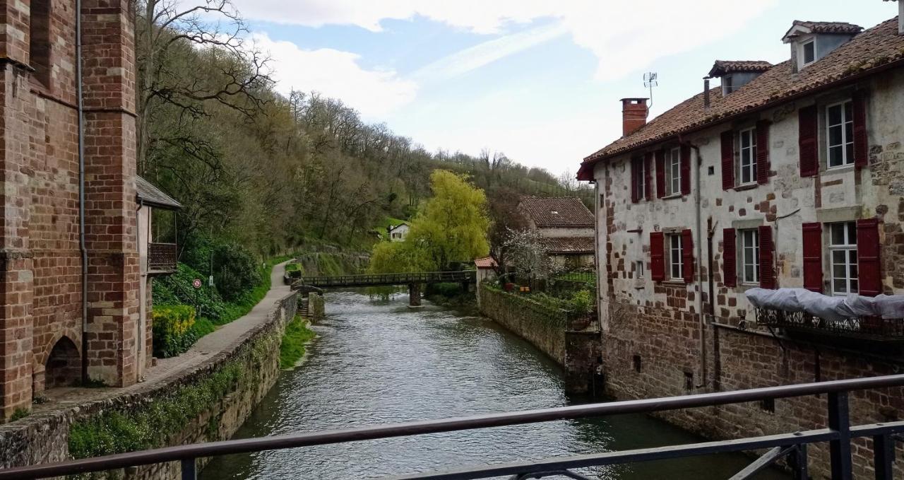 Saint Jean Pied De Port. Centre Ville. Rue Pietonne Экстерьер фото
