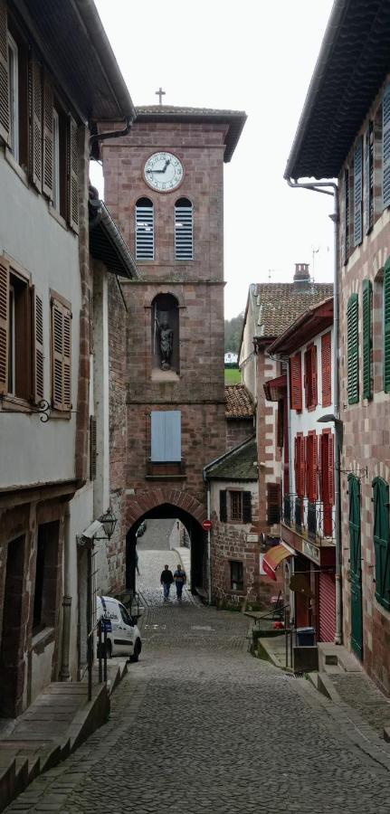Saint Jean Pied De Port. Centre Ville. Rue Pietonne Экстерьер фото