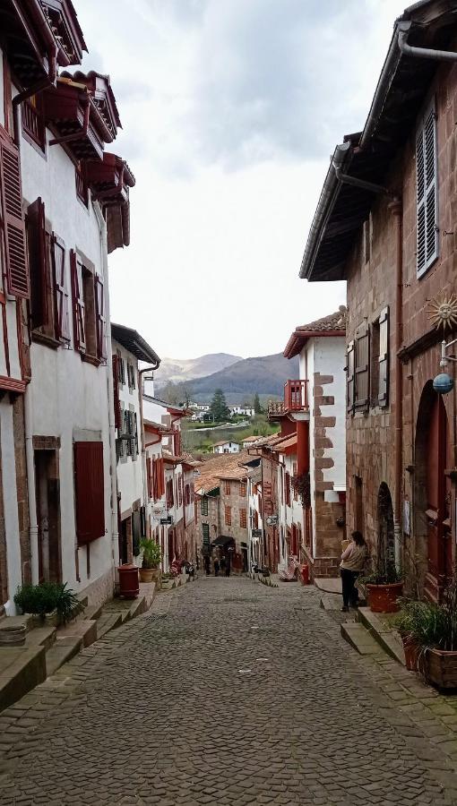 Saint Jean Pied De Port. Centre Ville. Rue Pietonne Экстерьер фото